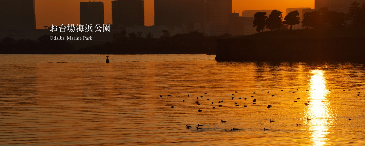お台場海浜公園